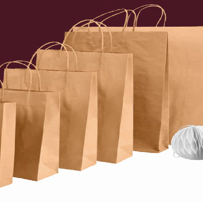 Packman: Logistic Packaging: Where to keep paper bags