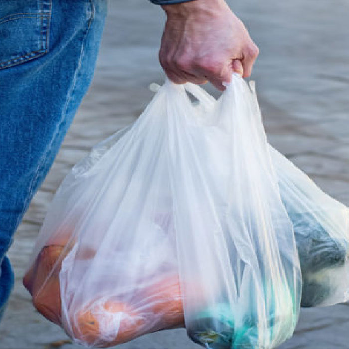 Packman: Food Packaging:  The Versatility and Importance of Clear Plastic Bags