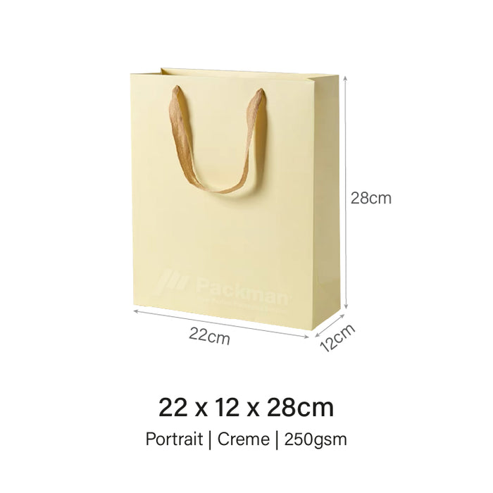 22 x 12 x 28cm Creme Paper Bag (20pcs)