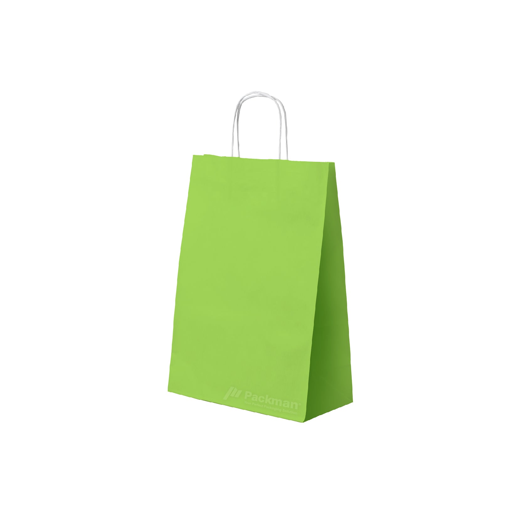 25 x 12 x 32cm Green Paper Bag (100pcs) – Packman