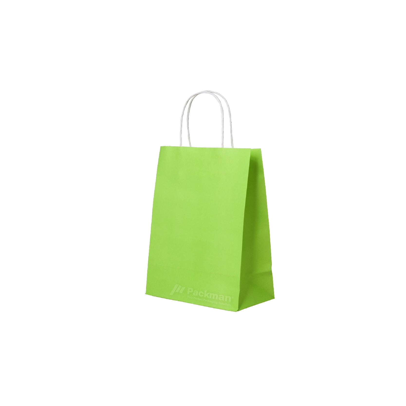 15 x 8 x 21cm Green Paper Bag (100pcs) – Packman